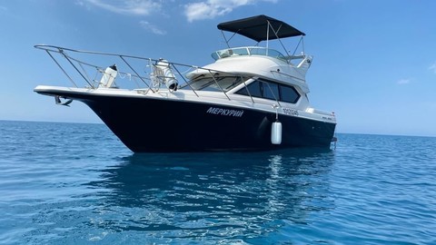 Bayliner 288 CB