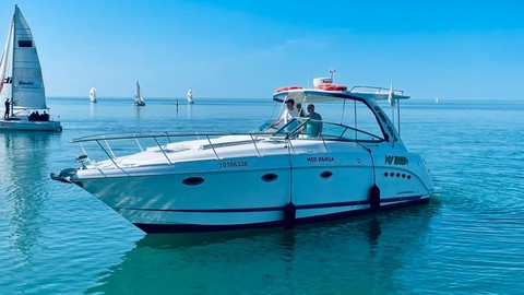Chaparral 350 Signature Cruiser