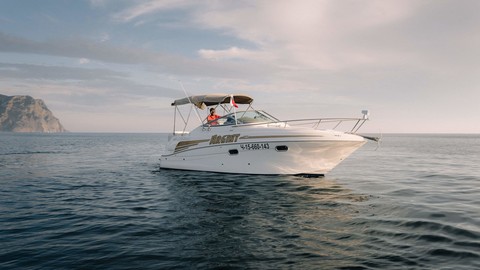 Four winns 248 vista