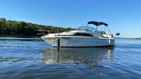 Sea Ray 245 Sundancer