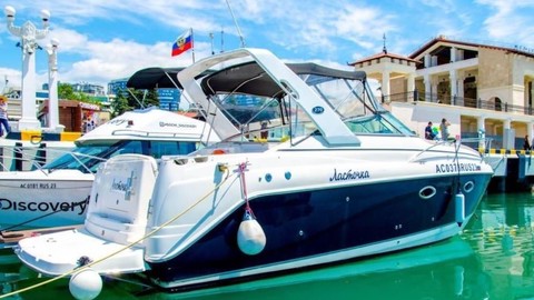 Rinker 270 EX