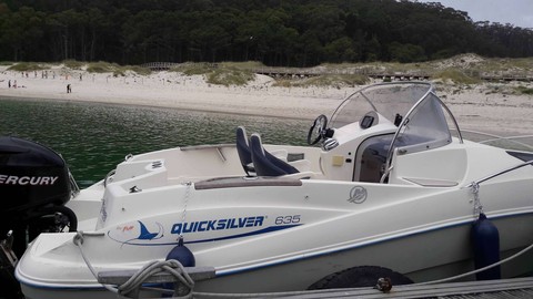 Quicksilver 635