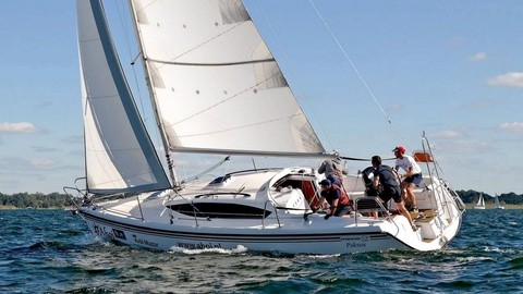 Northman Maxus 33.1 RS