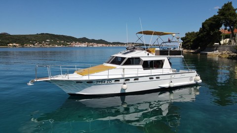 Dellapasqua dc 11 s flying bridge