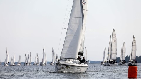 Northman Maxus 33.1 RS