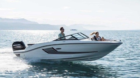 Sea ray 19 spx