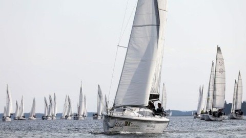 Northman Maxus 33.1 RS