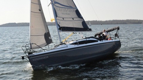 Northman Maxus 33.1 RS