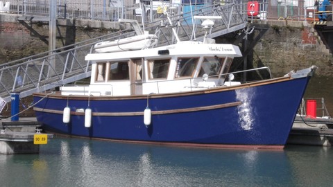 Birchwood sm 9613 mudskipper ( under offer)