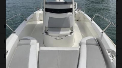 Boston Whaler 240 Dauntless