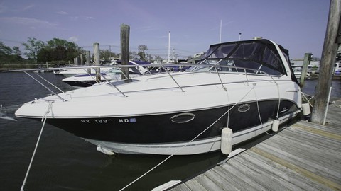 Chaparral 290 Signature