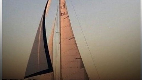 Marlow-Hunter cherubini 37