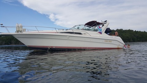 Sea Ray 310 Sundancer
