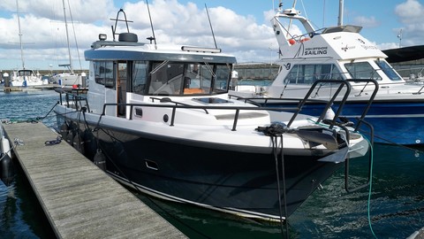 Sargo 31