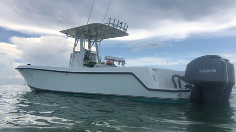 Contender 31 tournament