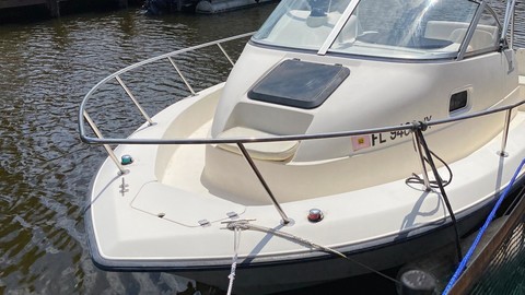 Hydra-sports 2800 vector wa