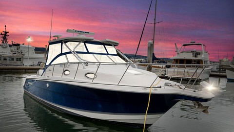 Wellcraft 290 Coastal