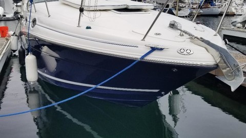 Sea ray 280 sun sport