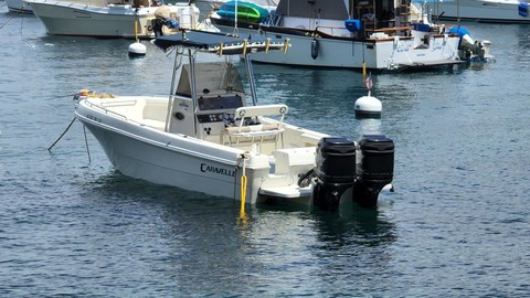 Caravelle sea hawk 230