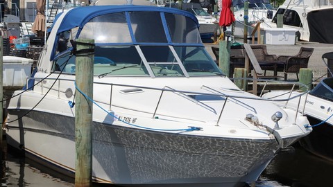 Sea Ray 310 Sundancer