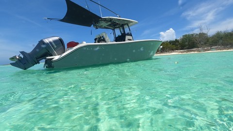 Cobia 217 center console