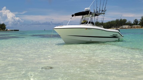 Hydra-sports 2800 vector wa