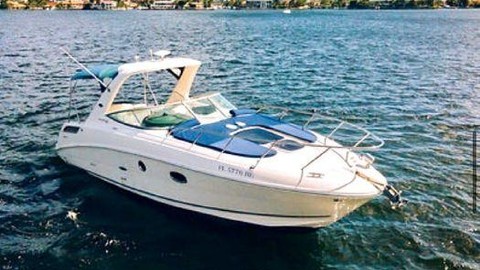 Sea Ray 310 Sundancer