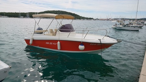HM 22 Fly