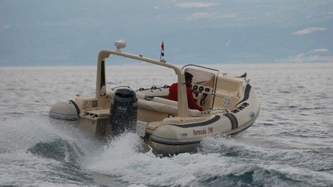 Barracuda 590