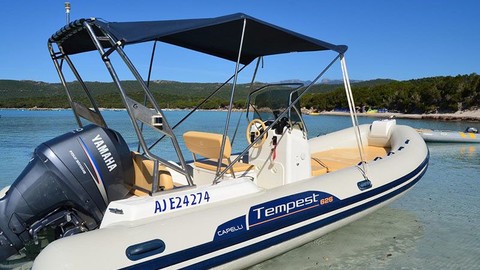 Tempest 626
