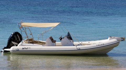 Black Fin Elegance 8