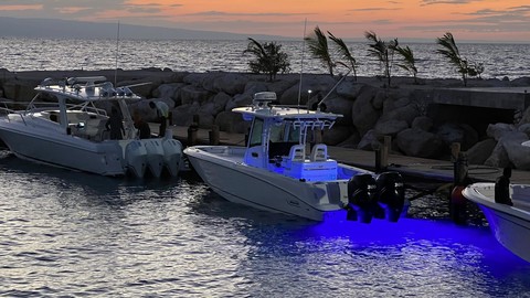 Boston Whaler 320 Outrage