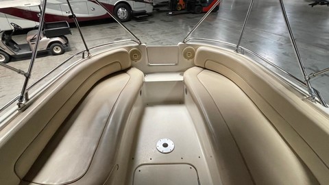 Sea Ray 240 Sundeck