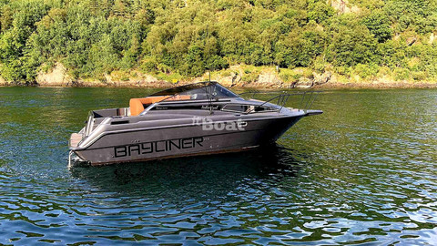 Bayliner 265 SB