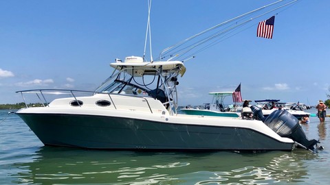 Hydra-sports 2800 vector wa