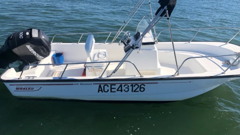 Boston Whaler 170 Montauk