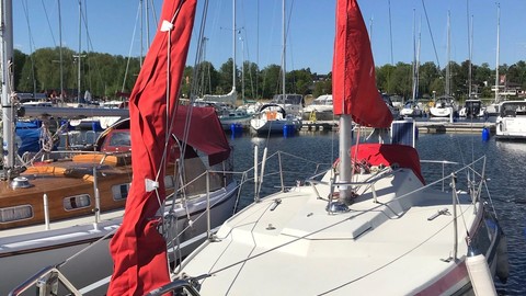 Mcconaghy r/p 79’ maxi