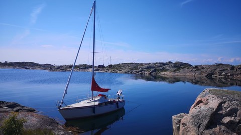 Mcconaghy r/p 79’ maxi