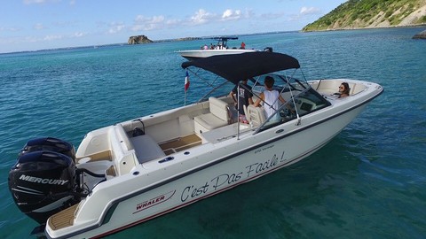 Boston Whaler 270 Vantage