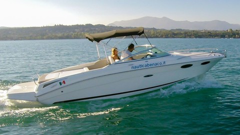 Sea ray 240