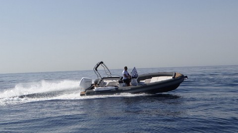 Salpa Gran Soleil 23