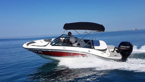 Sea ray 19 spx