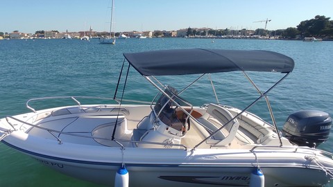 Ranieri international shadow 19