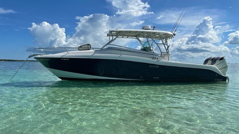 Hydra-sports 2800 vector wa