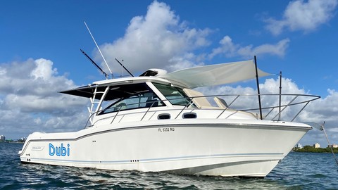 Boston Whaler 315 Conquest