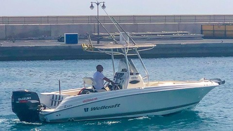 Wellcraft 222 Fisherman