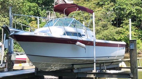Wellcraft 290 Coastal