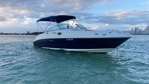 Sea Ray 240 Sundeck