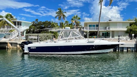 Intrepid 310 walkaround