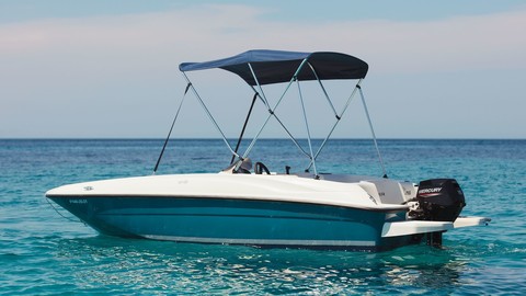 Bayliner Element